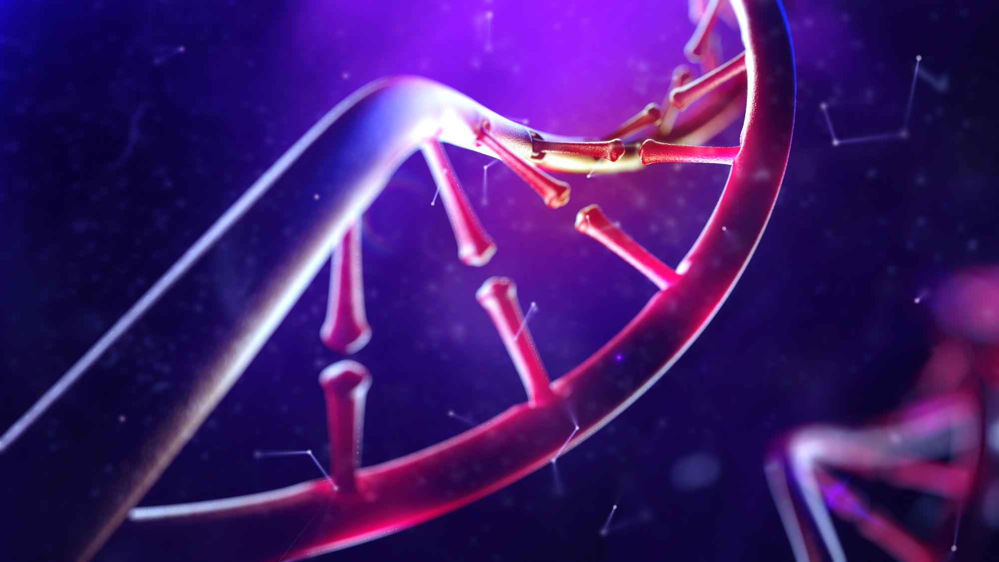 ADN del genoma púrpura