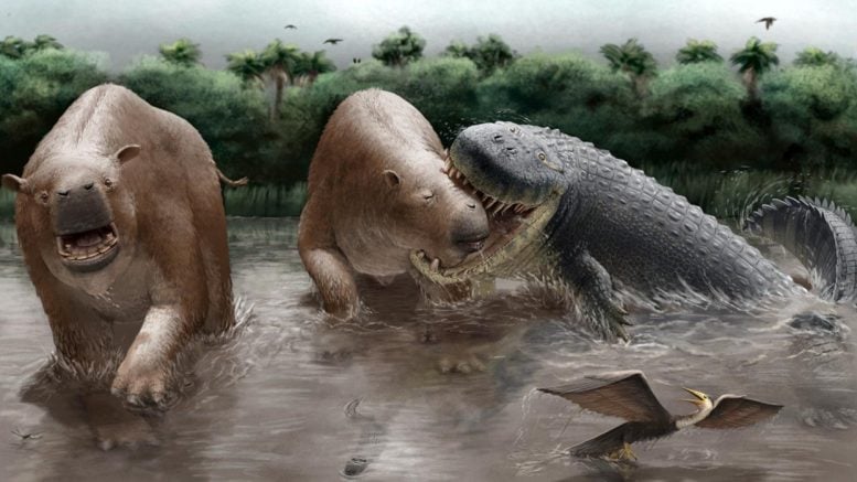 Purussarus neivensis Attacking Pericotoxodon platignathus