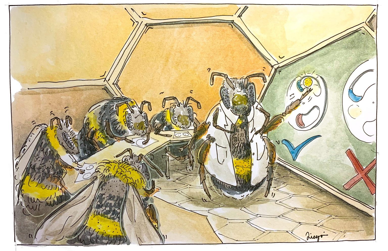 Bees Learn by Watching Others Puzzle Solving Behavior Spreads Through Bumblebee Colonies