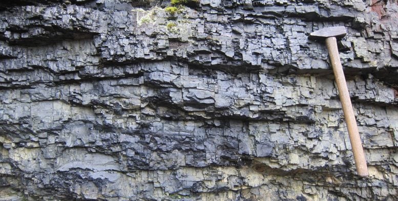 Pyrobitumen Rich Karelian Rock Layers