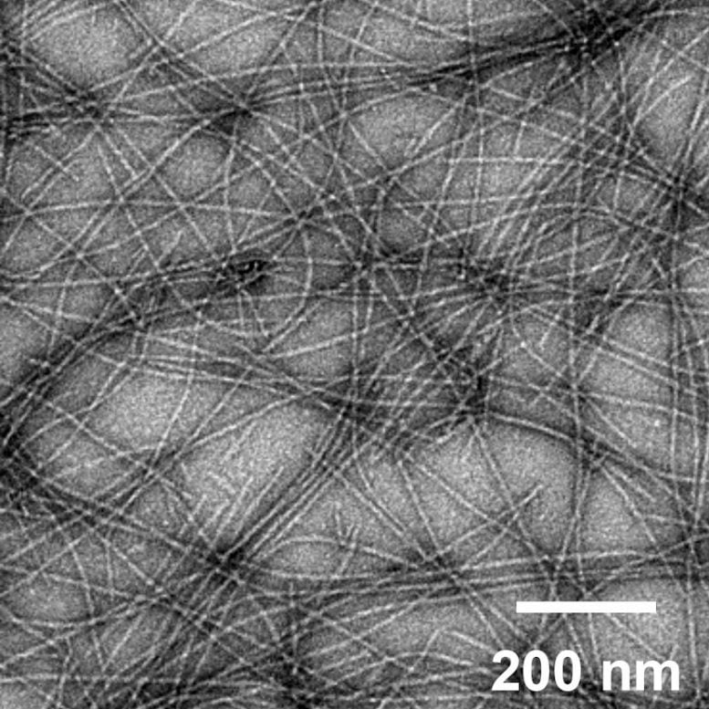 Q11 Nanofibers
