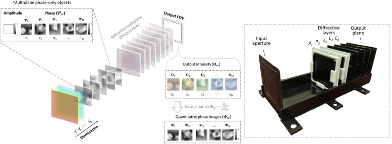 Quantitative Phase Imaging of a 3D Phase-Only Object Using a Wavelength-Multiplexed Diffractive Optical Processor