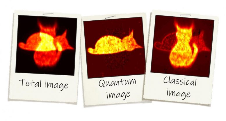 Quantum Image Distillation
