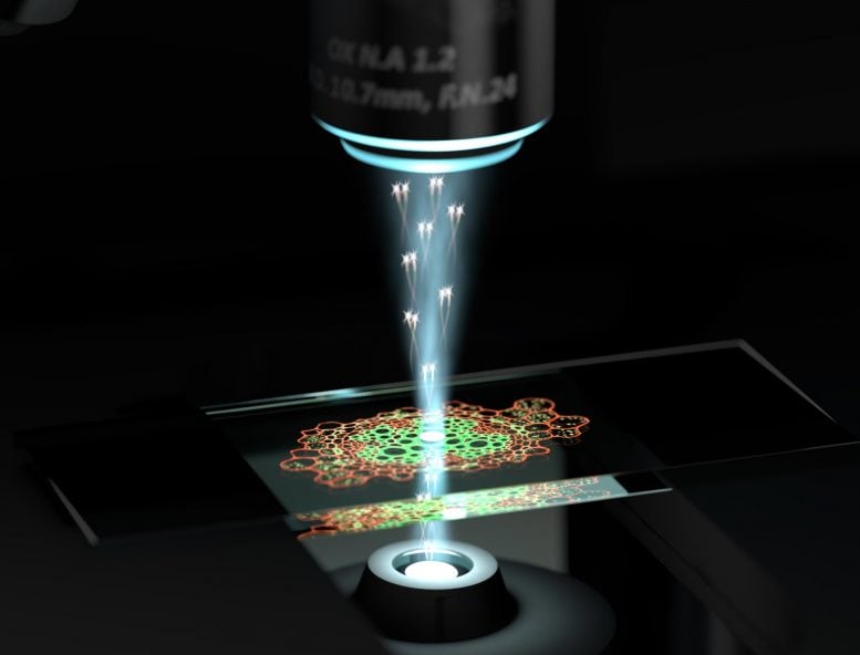 https://scitechdaily.com/images/Quantum-Microscope-Artists-Impression-777x592.jpg