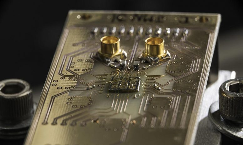 Chip semiconduttore del processore quantistico