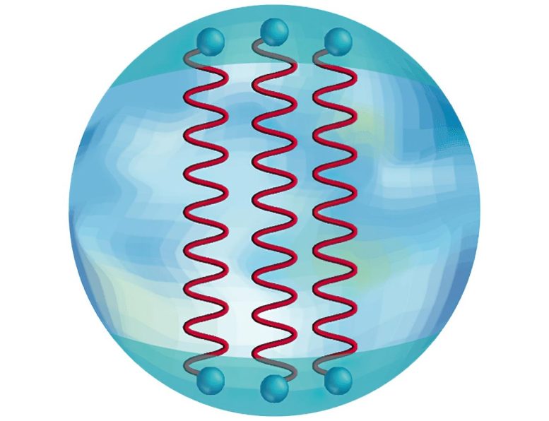Quarks Line Up in Dense Nuclear Matter