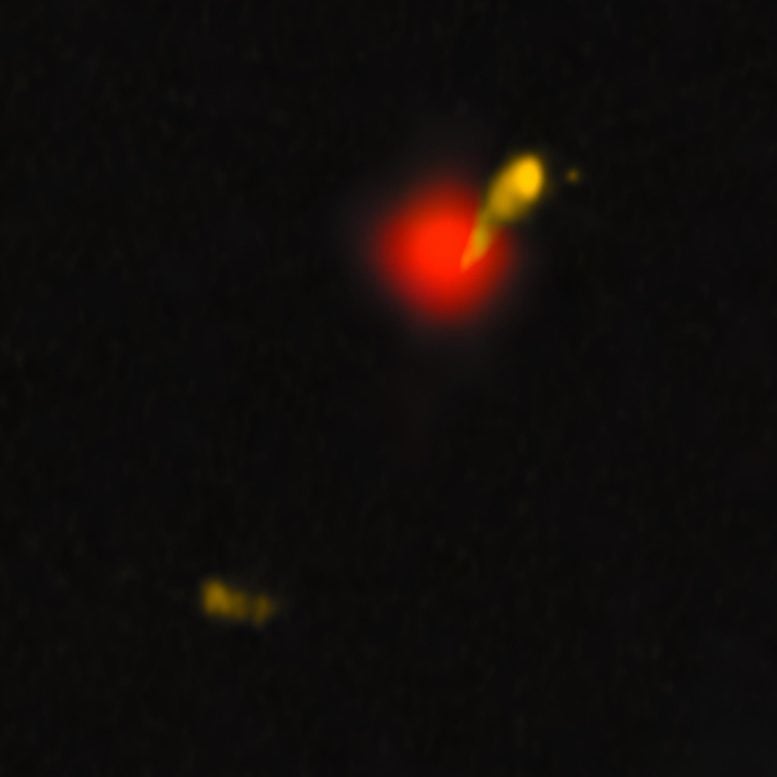 Quasar J1601+3102 LOFAR