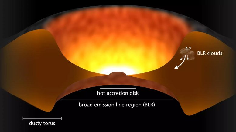 Rare Quasar Quartet Reveals Massive Structure in Distant Universe