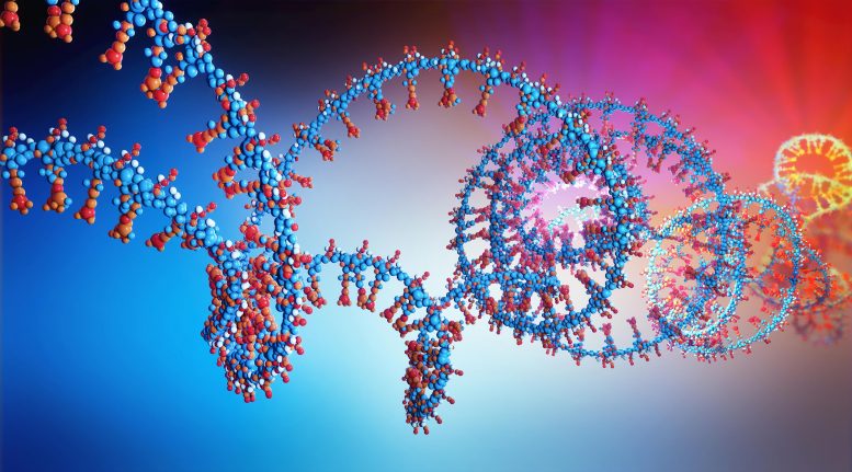 RNA Chain 3D Illustration