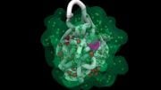 RNA Particles Swarm an X Chromosome