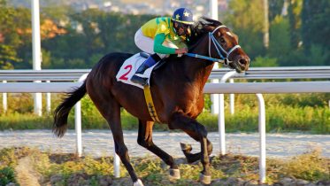 The Predictive Power of Gut Bacteria in Thoroughbred Racing