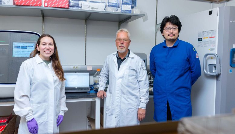 Rachelle Stark, Anders Näär, and Chu Zhu