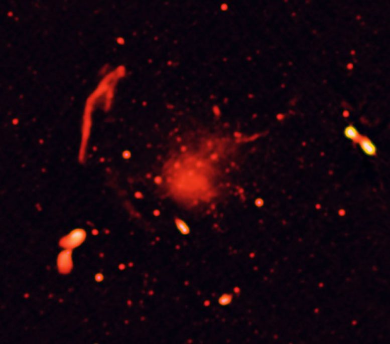 Radio-Only Image of Abell 2744