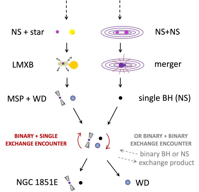 Radio pulsar NGC 1851E and the history of formation of exotic companion stars