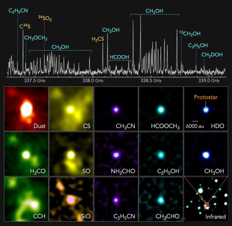 Protostar galactique à spectre radio extérieur extrême