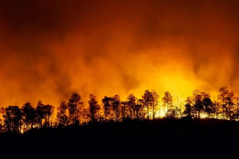 What’s Happening in the Amazon Right Now Is Terrifying Scientists