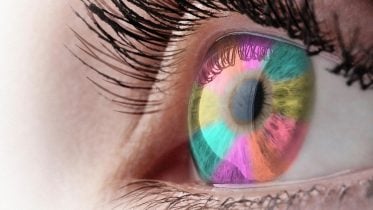 Rare Retinal Cells May Hold the Key to True Color Perception
