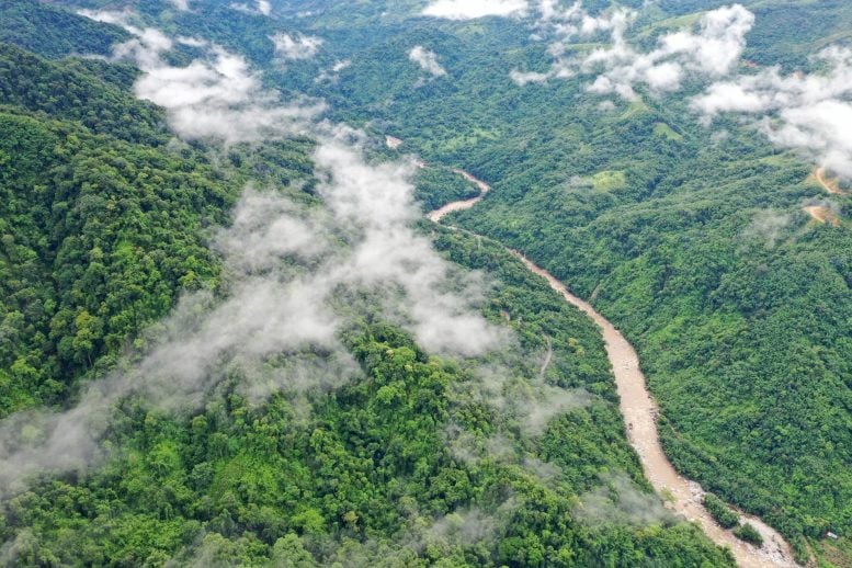 Rainforest in Yingjiang, Yunnan