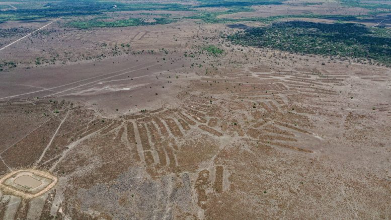 Raised Cultivation Platforms Near Lake Ginebra