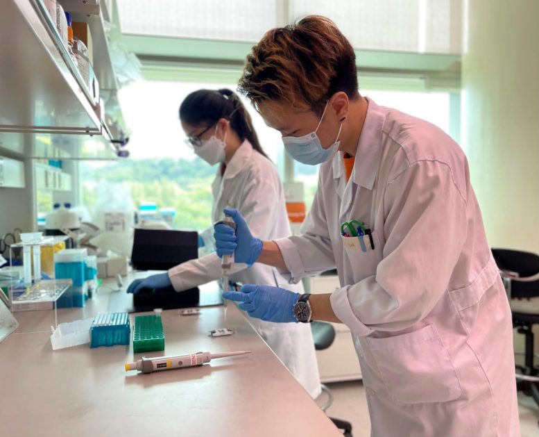 Rapid Neutralizing Antibody Test Lab Prototype