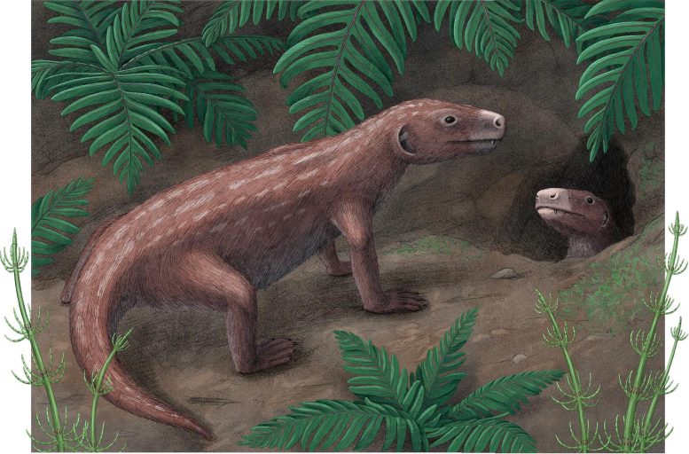 Reconstructed Image of Thrinaxodon