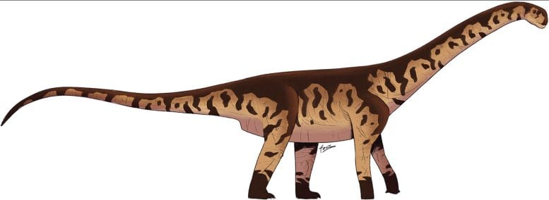 Reconstruction of Bicharracosaurus Dionidei