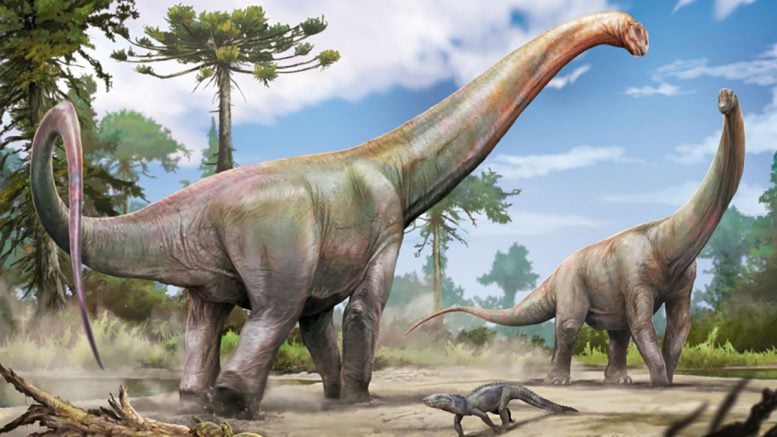Reconstruction of Maranhão Sauropod Dinosaur