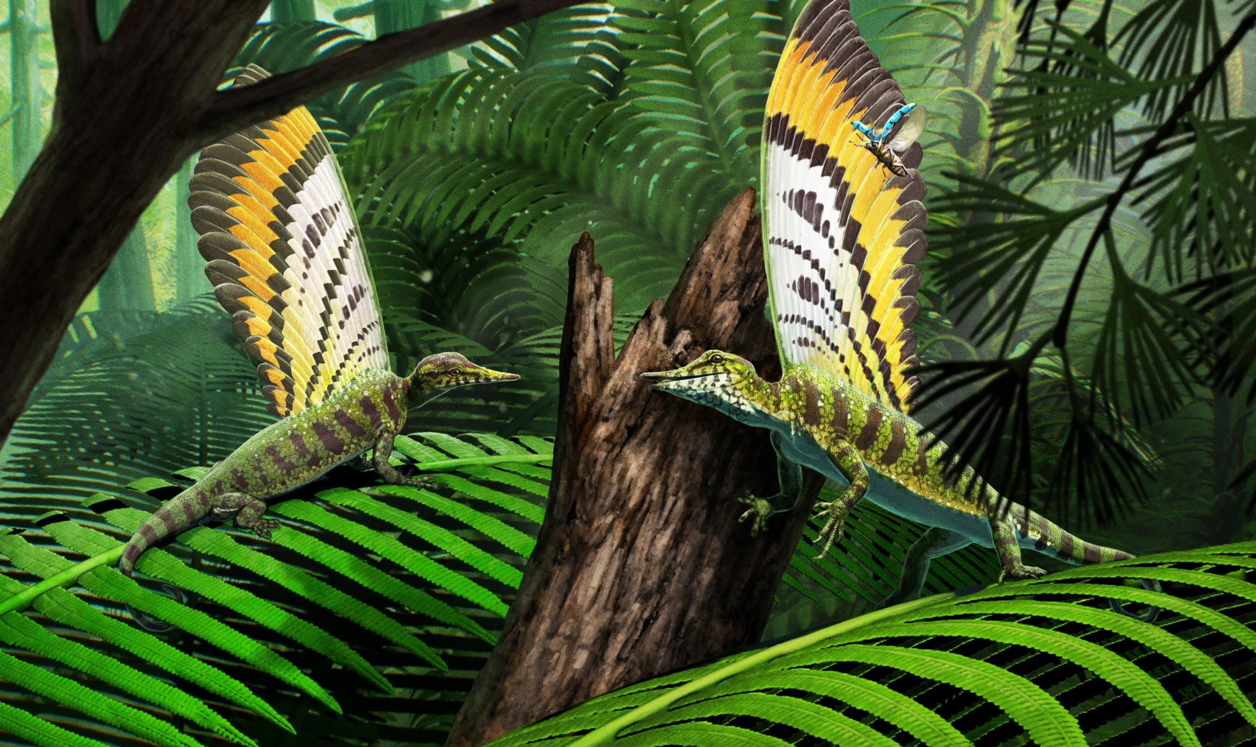 Scientists Unearth 247-Million-Year-Old 'Wonder' Fossil