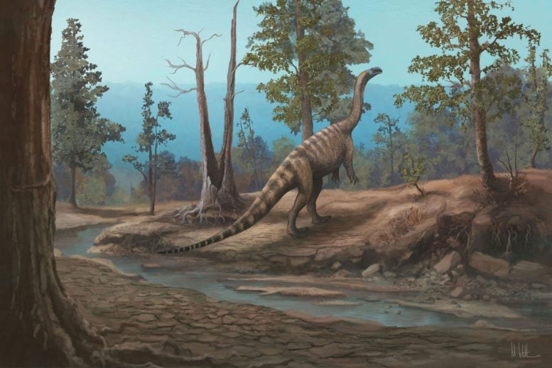 Reconstruction of Musango
