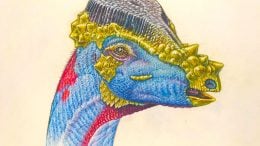 Reconstruction of Ornamental Headgear of Pachycephalosaur
