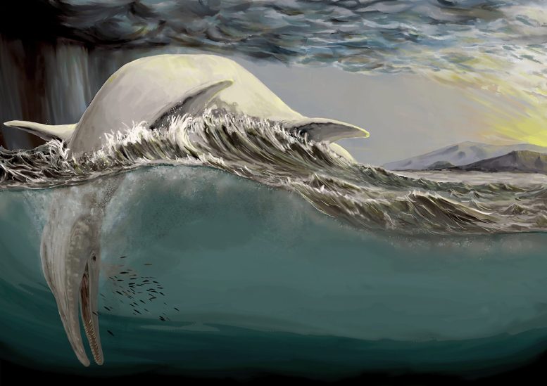 Reconstruction of a Gigantic Ichthyosaur Floating Dead
