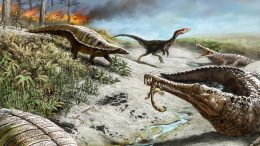 Reconstruction of a Late Triassic Ecosystem From Ghost Ranch