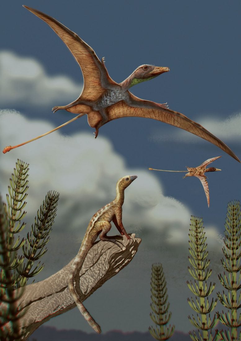 Reconstruction of a Late Triassic Landscape