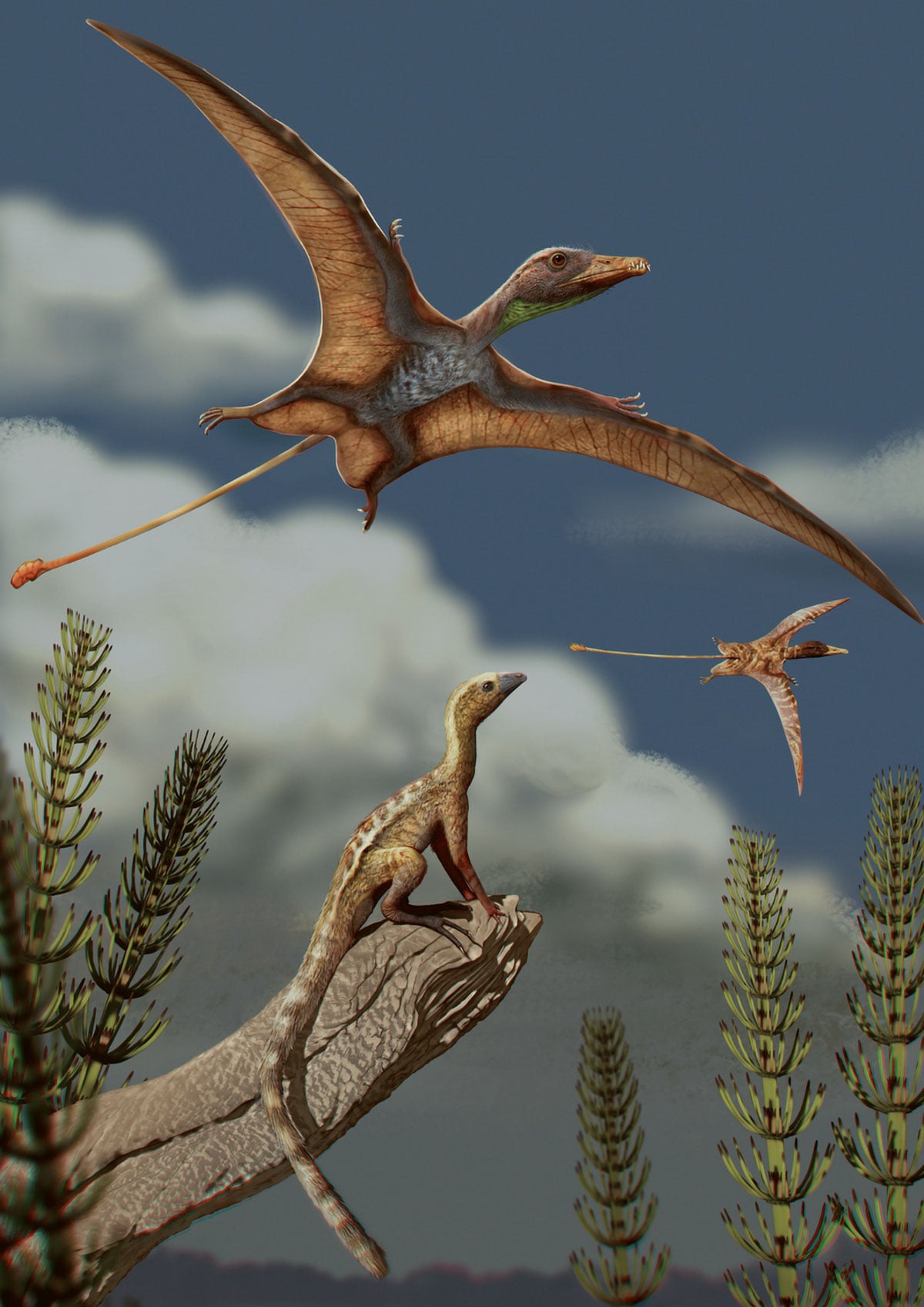 Ancient Pterosaurs Took Flight With Surprisingly Small Brains, Study Finds