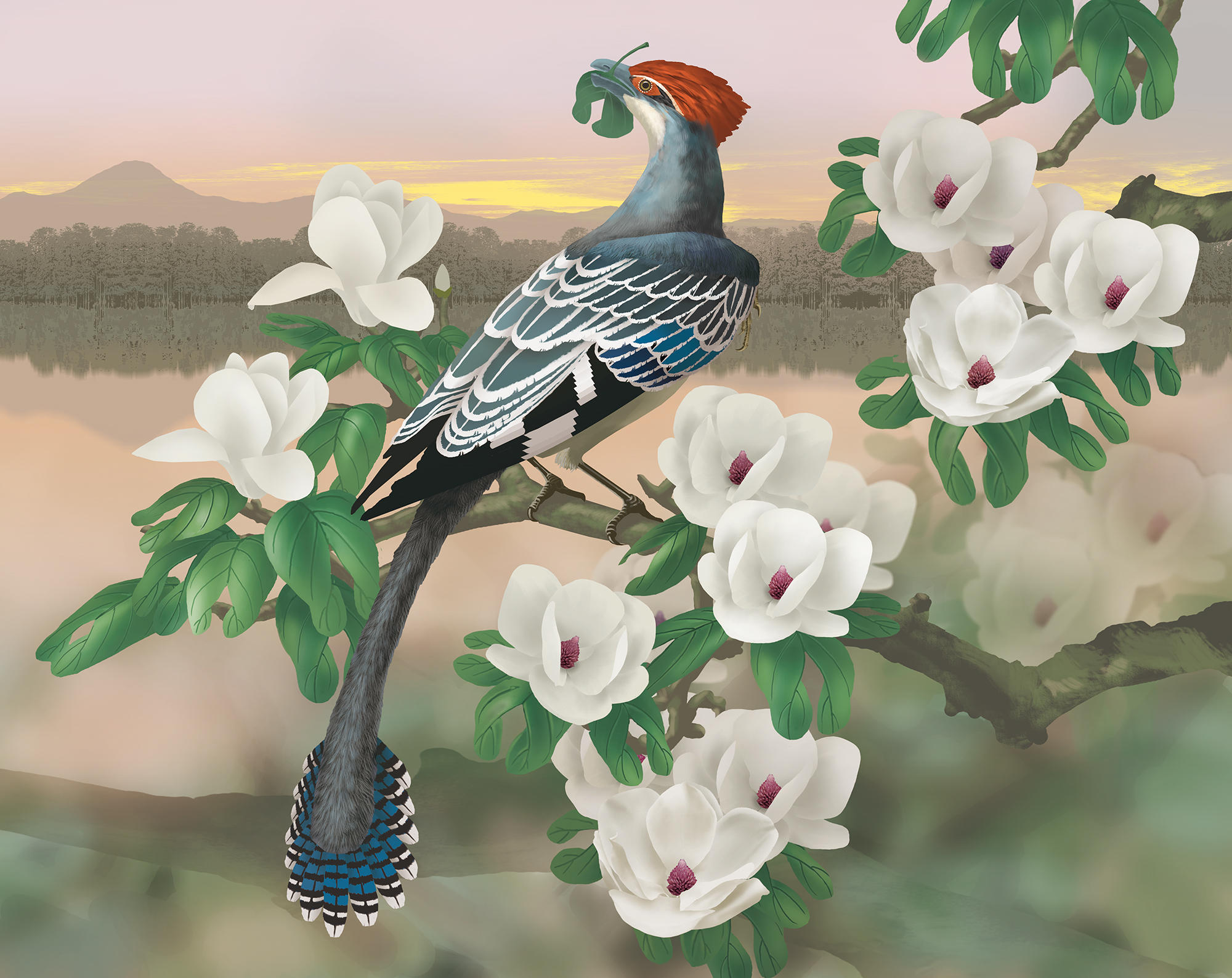 Reconstruction of the Cretaceous Bird Jeholornis Eating Leaves