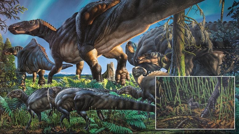 Reconstruction of the Late Cretaceous Paleoenvironment of Alaska