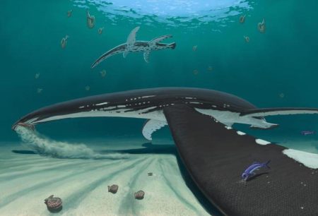 Shocking Scientists: Fossilized Plesiosaur Skin Cells Discovered After