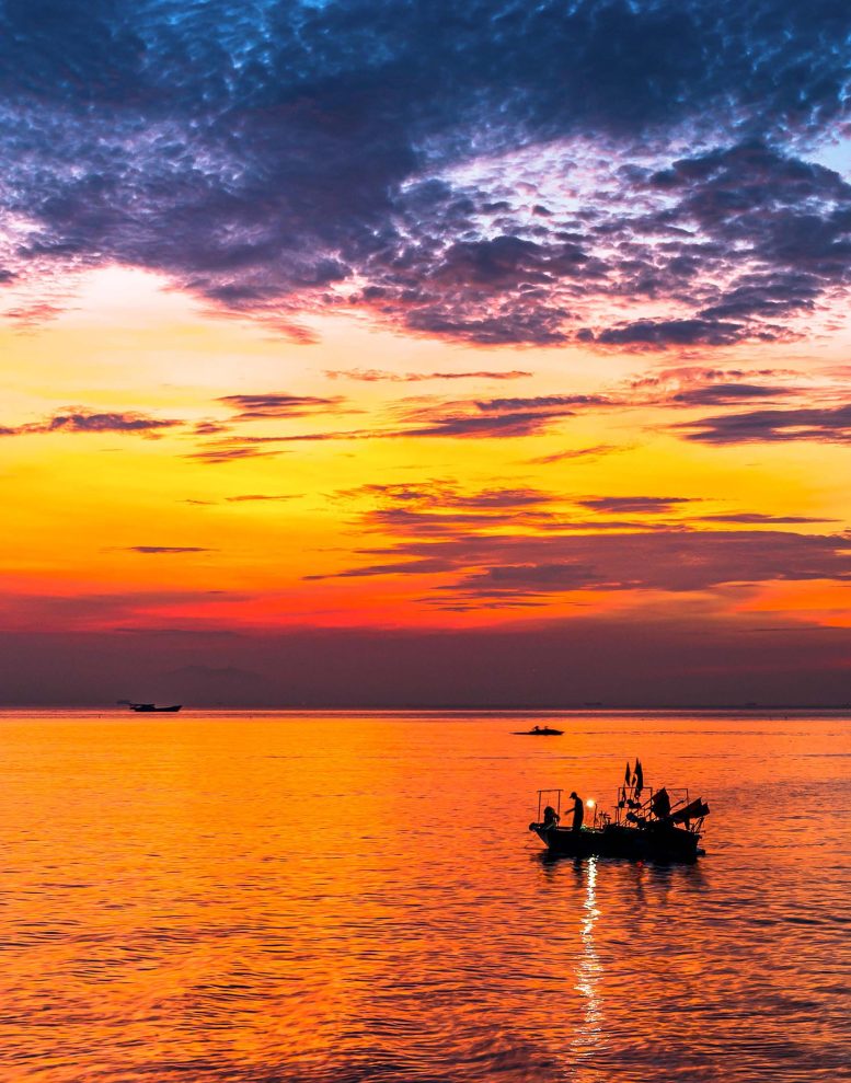 Record-Breaking 2023 Marine Heatwaves