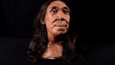 Reconstructed Realities: Bringing a Crushed 75,000-Year-Old Neanderthal Skull to Life