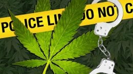 Recreational Marijuana Effect on Crime