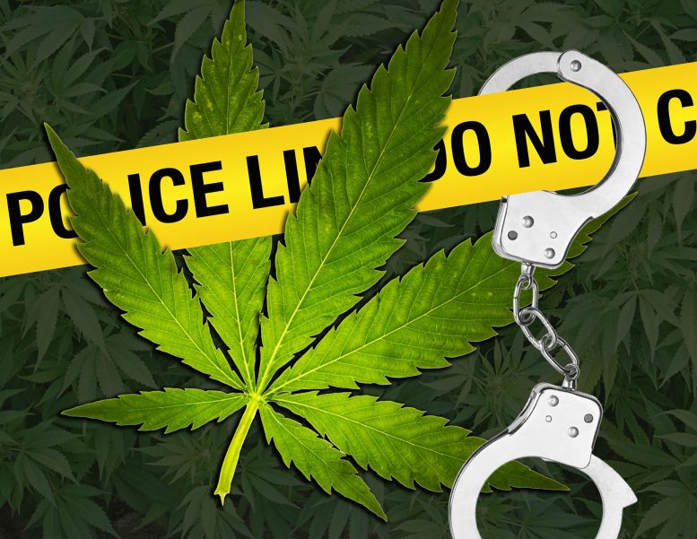 Recreational Marijuana Effect on Crime