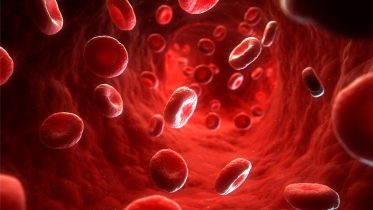 FDA-Approved Drug Reduces Blood Vessel Problems Caused by Aging