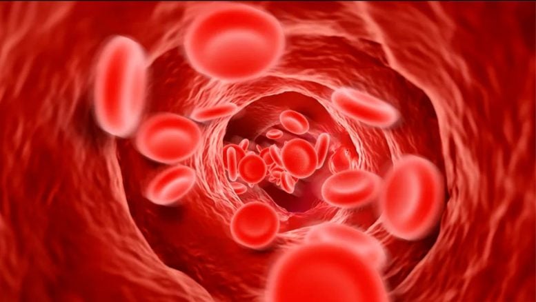 Red Blood Cells Pressure