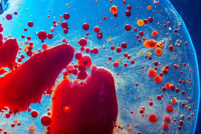 Red Bubble Blood Cells