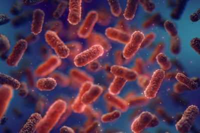 Rest Bacteria Scientists Discover Natural Protein That Traps and Kills Harmful Bacteria