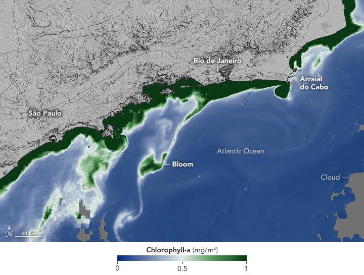 Red Tide Rio 2021 Chlorophyll Annotated