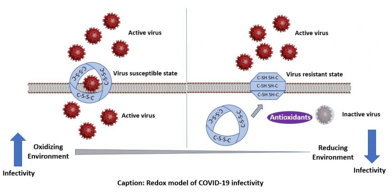 Redox Model of COVID-19 Infectivity