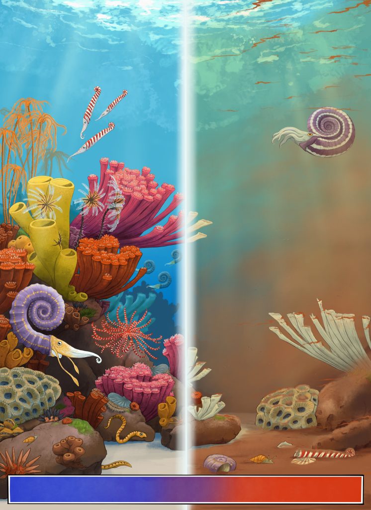 Reef Pre and Post Extinction Event