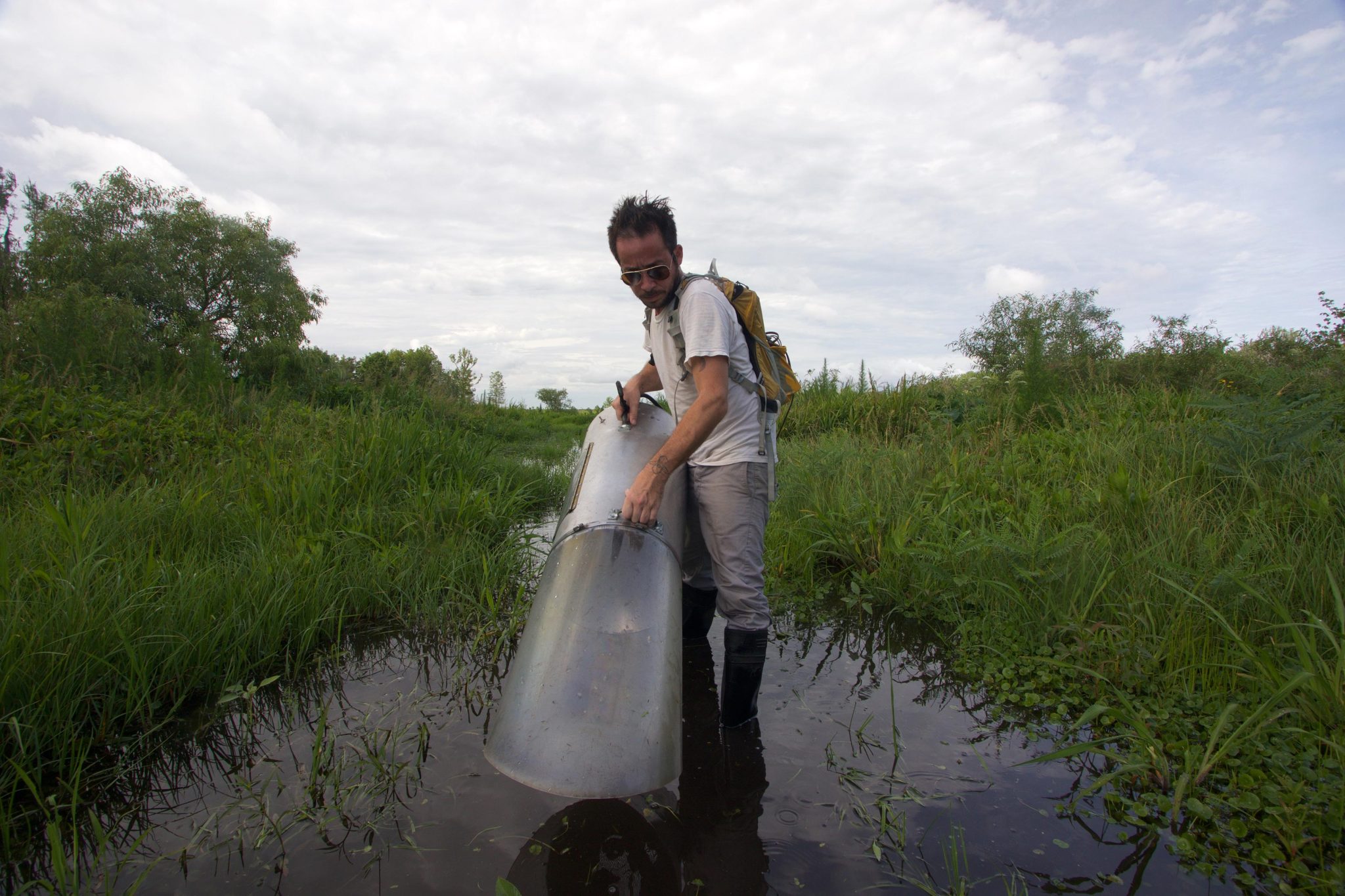 Invasion Alert Invasion Alert: Disease Fears Raised Over New Mosquito Species Reported ...