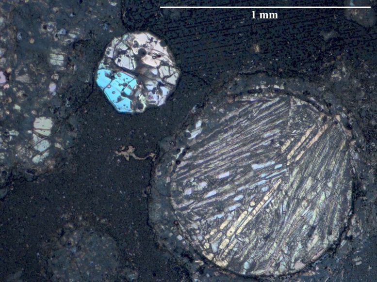 Reflected Light Image of a Thin Section of Carbonaceous Chondrite CV3 From NASA&rsquo;s Antarctic Collection